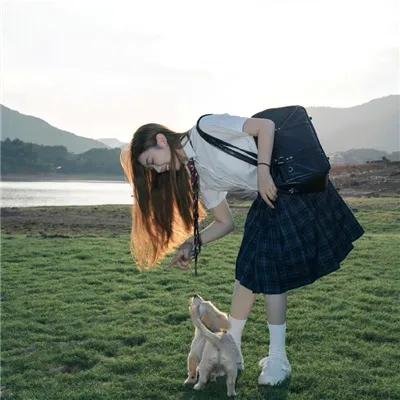 树林里的粉红色